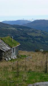 post-11774-0-46491100-1382304636_thumb.j