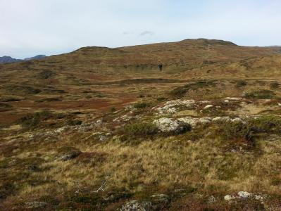 post-11774-0-65489500-1382305919_thumb.j