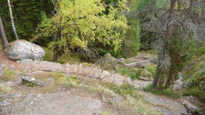 post-11774-0-65827400-1382306609_thumb.j