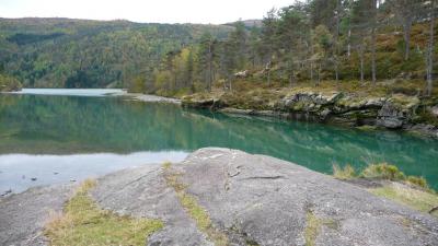 post-11774-0-68631300-1382303126_thumb.j