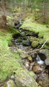 post-11774-0-76791800-1382304168_thumb.j