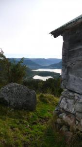 post-11774-0-82634600-1382303942_thumb.j