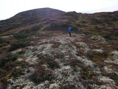 post-11774-0-84253700-1382305844_thumb.j