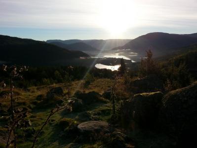 post-11774-0-88265500-1382303169_thumb.j