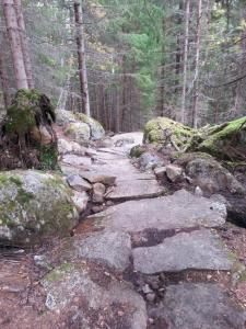 post-11774-0-92133600-1382306066_thumb.j