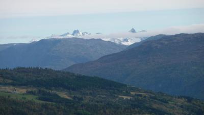 post-11774-0-93303800-1382304699_thumb.j