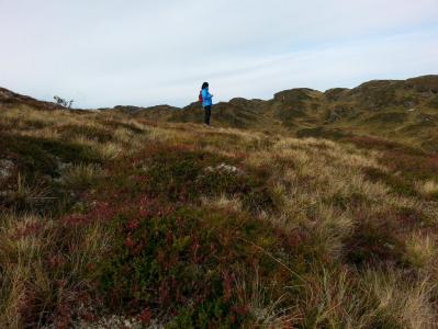 post-11774-0-94473000-1382305581_thumb.j