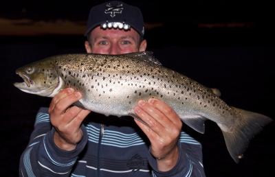 post-12278-0-93622900-1383243628_thumb.j