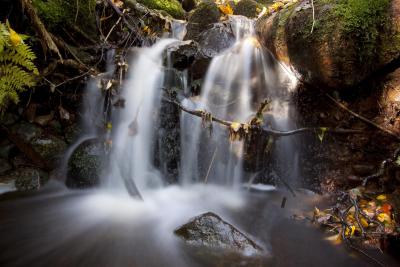 post-12278-0-96658500-1381503453_thumb.j