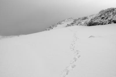 post-3941-0-73478700-1382099781_thumb.jp