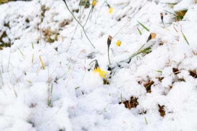 post-3941-0-88136200-1382099790_thumb.jp