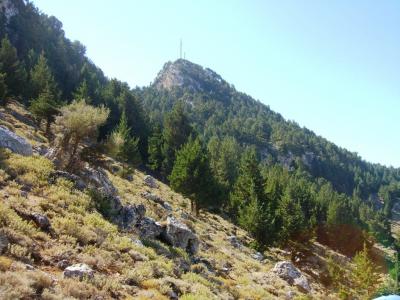 post-4220-0-30636800-1382255861_thumb.jp