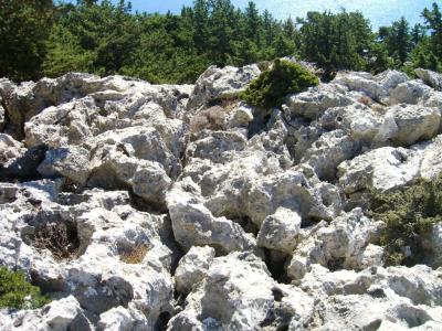 post-4220-0-59251400-1382255823_thumb.jp