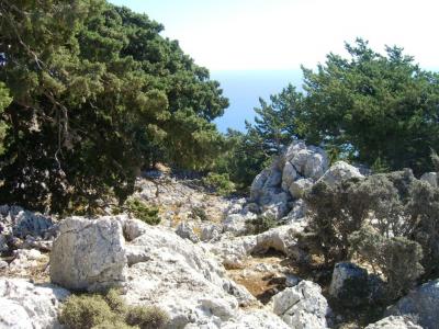 post-4220-0-93598000-1382255832_thumb.jp