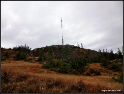 post-4444-0-51637500-1381079417_thumb.jp