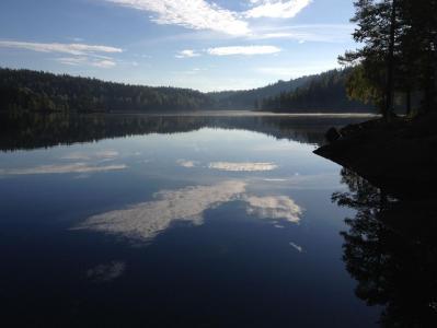 post-7957-0-24694900-1381341822_thumb.jp