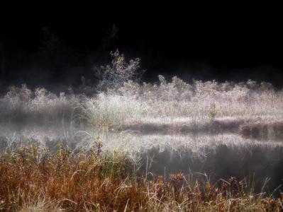 post-7957-0-25117400-1381341818_thumb.jp