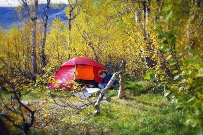 post-7957-0-34031500-1381341968_thumb.jp