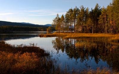 post-7957-0-42267900-1381341949_thumb.jp