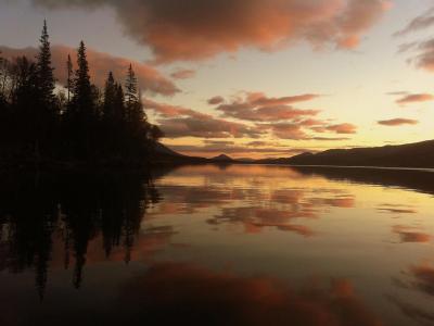 post-7957-0-61557400-1381341794_thumb.jp