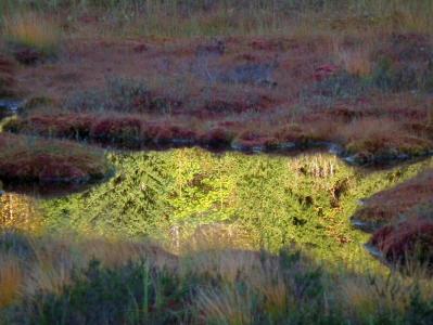 post-7957-0-63121500-1381341959_thumb.jp