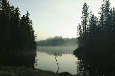 post-7957-0-76806400-1381341961_thumb.jp