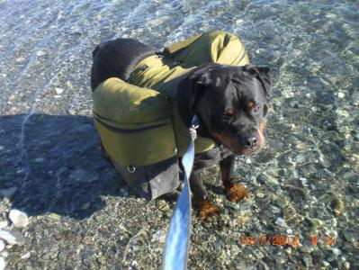 post-8630-0-97785700-1382882215_thumb.jp