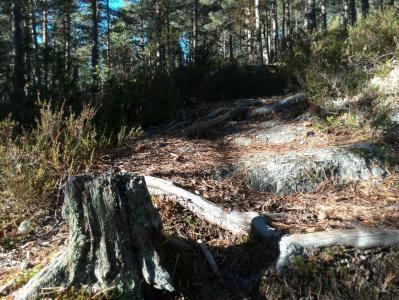 post-9055-0-61646300-1381673793_thumb.jp