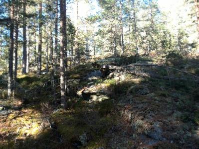 post-9055-0-67845800-1381673803_thumb.jp