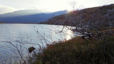 post-10401-0-07738500-1412882758_thumb.j