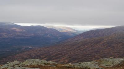 post-10401-0-10619300-1413050903_thumb.j