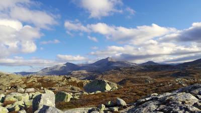 post-10401-0-19168600-1412880602_thumb.j