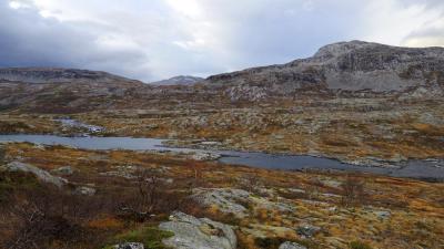 post-10401-0-19616900-1412885874_thumb.j