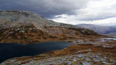 post-10401-0-25415000-1412886256_thumb.j