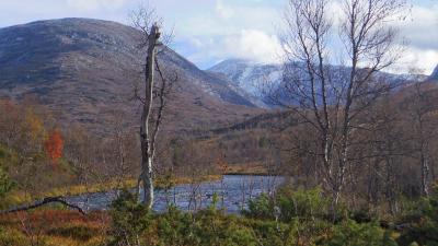 post-10401-0-25989800-1412433148_thumb.j