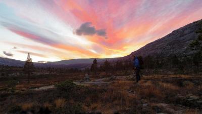 post-10401-0-28174200-1412884766_thumb.j