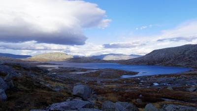 post-10401-0-30276200-1412886948_thumb.j