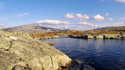 post-10401-0-31850500-1412882727_thumb.j