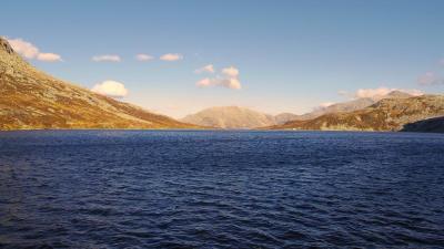 post-10401-0-40553900-1412881383_thumb.j