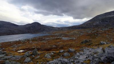 post-10401-0-43097700-1412886961_thumb.j