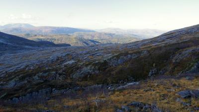 post-10401-0-46053600-1412878331_thumb.j