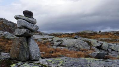 post-10401-0-54905500-1412886763_thumb.j