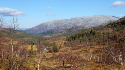 post-10401-0-68589800-1412880374_thumb.j