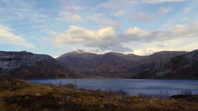 post-10401-0-77575200-1412887282_thumb.j