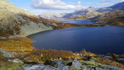 post-10401-0-83150700-1412881271_thumb.j