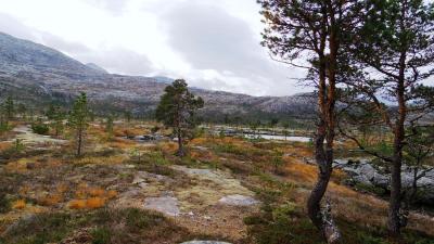 post-10401-0-93570100-1412885385_thumb.j