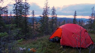 post-10401-0-96523000-1412877366_thumb.j