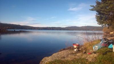 post-10468-0-44521200-1413215788_thumb.j