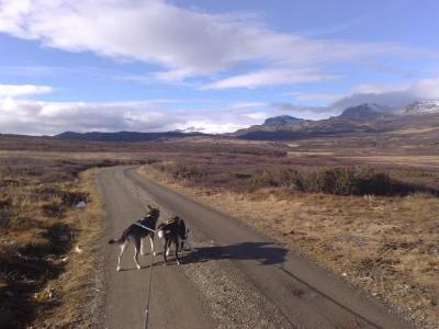 post-1047-0-08205800-1413929718_thumb.jp