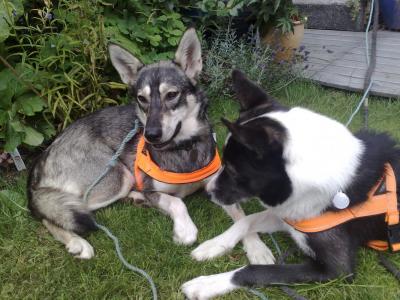 post-1047-0-48545100-1413929755_thumb.jp